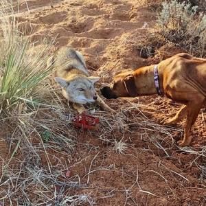 Meet your Posher, Trenton